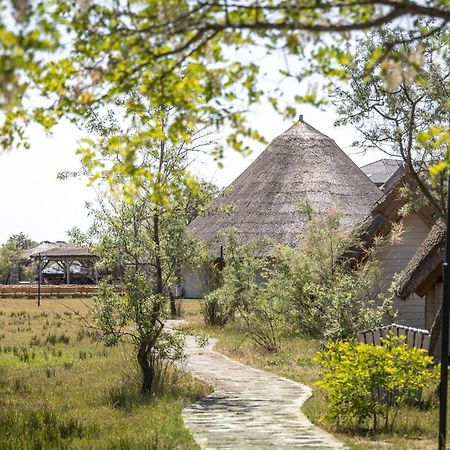 Dolphin Camping Sfântu Gheorghe Exterior foto