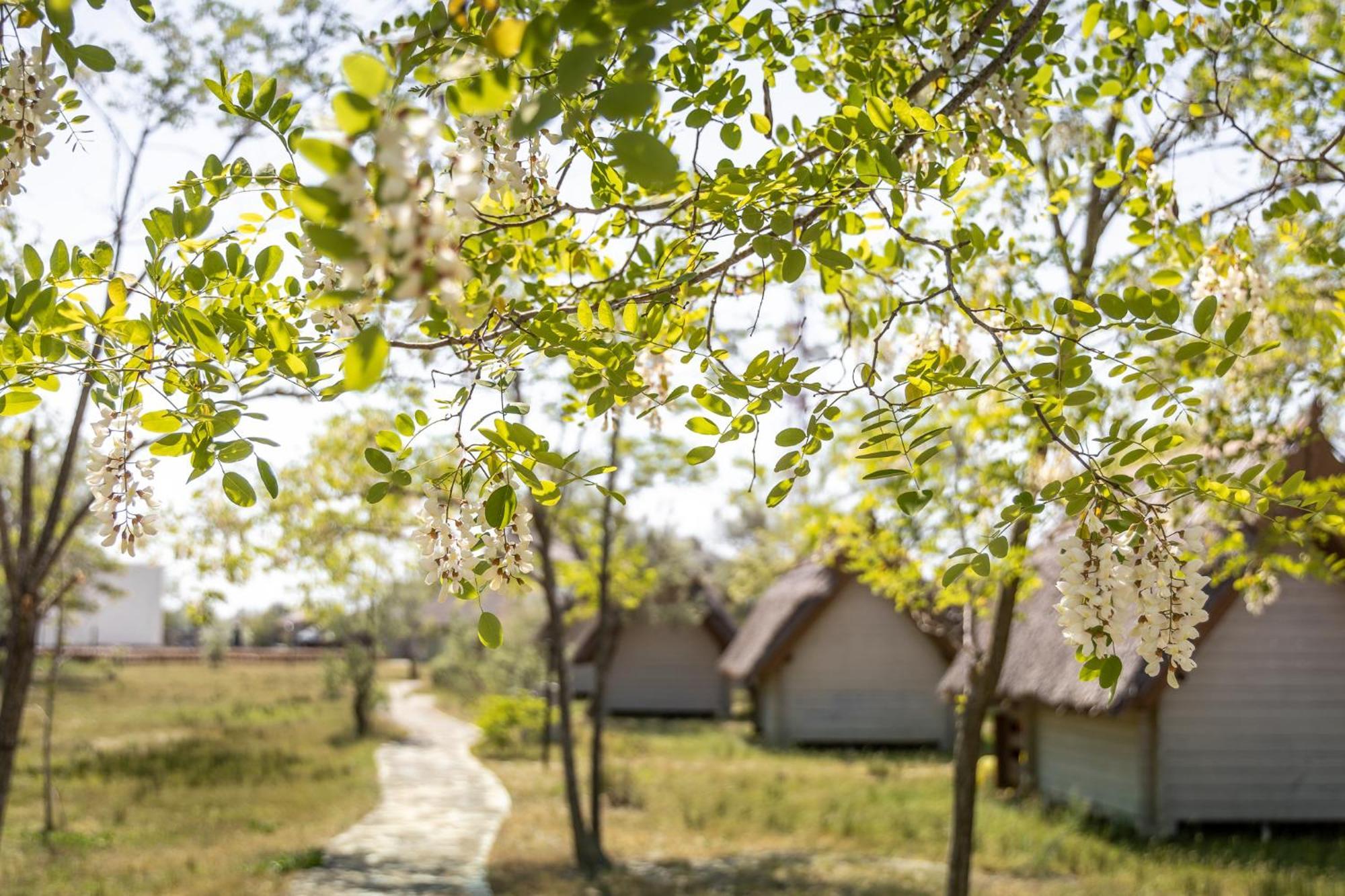 Dolphin Camping Sfântu Gheorghe Exterior foto